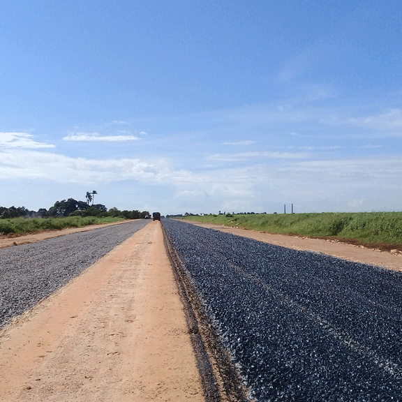 Camino
